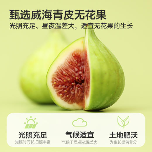 优选|翡翠绿无花果干  鲜果现制不加糖  清甜软糯 6斤鲜果约1斤果干   80g*2袋 商品图3