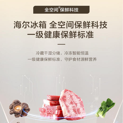 海尔（Haier）冰箱 BCD-505WGHTD1BY7U1 商品图2