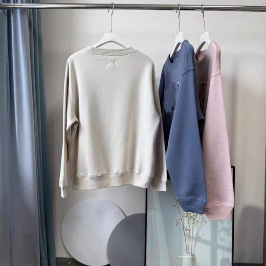 2025早秋美式休闲风字母刺绣宽松圆领套头抓绒卫衣上衣！ 商品图4