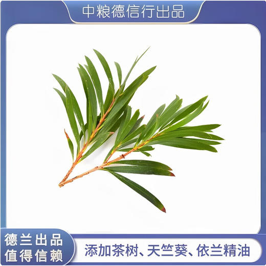 中粮德兰多重精油香氛沐浴露400ml（新老包装随机发货） 商品图3