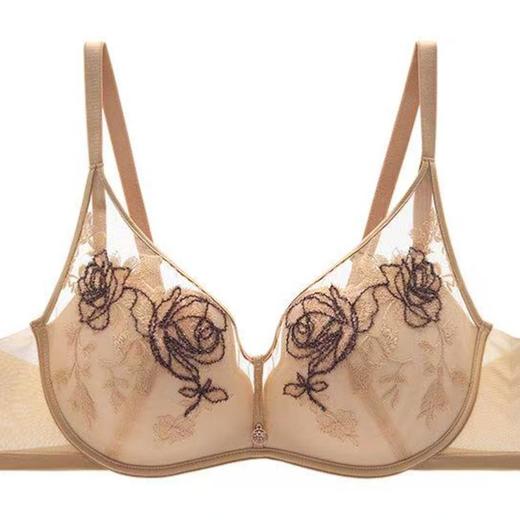 3楼安莉芳安莉芳新品【宋轶同款】网纱刺绣女士小胸聚拢 无钢圈上托文胸EB00953 商品图1