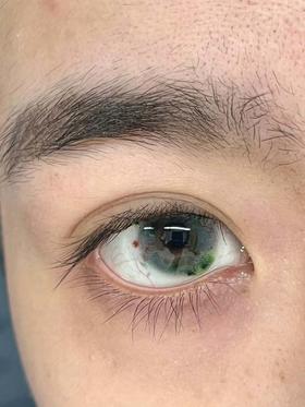 ninamond日抛cos 霉霉  直径14.5mm着色14.0mm  (两片装) 预计十月中旬到货 