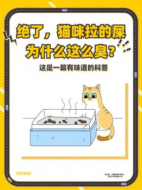 你家猫咪拉屎特别臭吗试试这三种方法‼️