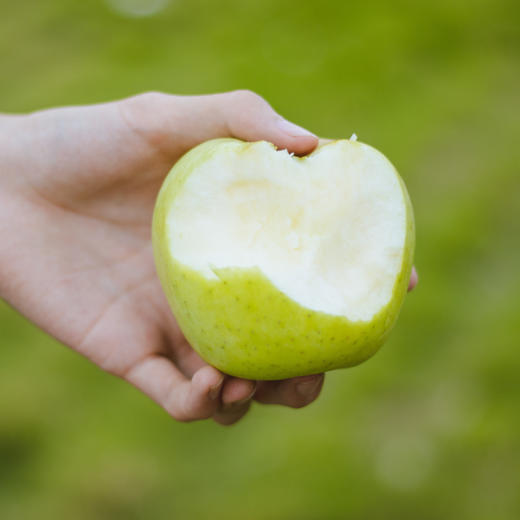 挑剔虎青森苹果 商品图2
