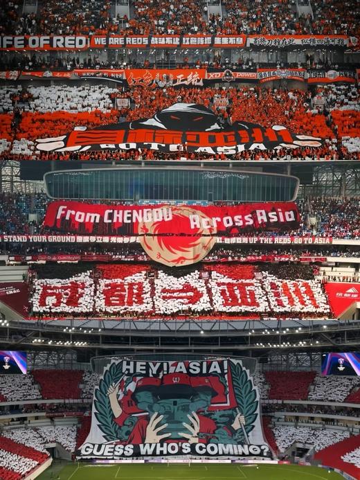 【2025亚冠主场-荣耀馆长】一日独立营 商品图7