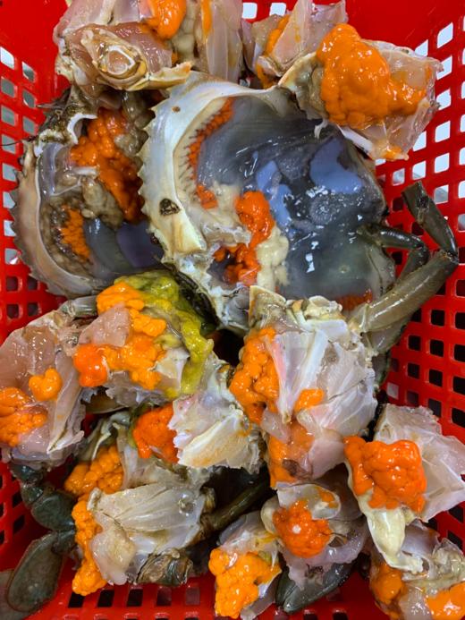 超热销爆款包活红膏蟹 ！顶盖肥，只只爆 商品图2