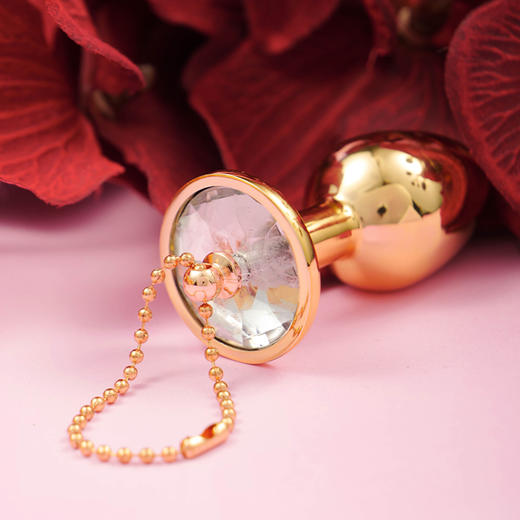 纵锦浪里肛塞男外出长期佩戴后庭调教插屁股情趣女用品sm肛门开发 商品图1