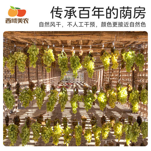 西域美农 新疆自然干葡萄干  树上熟 + 自然干（不暴晒、拒绝添加），无化学处理、保留天然葡萄清香  270g/ 罐 商品图7