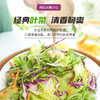 月度套餐组合开袋即食按时送11种新鲜蔬菜混合沙拉管理期轻食代餐 商品缩略图4