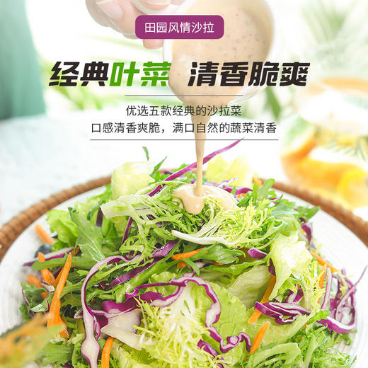 月度套餐组合开袋即食按时送11种新鲜蔬菜混合沙拉管理期轻食代餐 商品图4