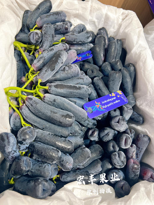 【宏丰精选】 高端送礼推荐  金手指黑提  超级新鲜果粉足 口感脆甜 硬度好 商品图4