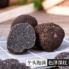 【新鲜松露11-2月】云南新鲜黑松露500g礼盒装 商品缩略图2