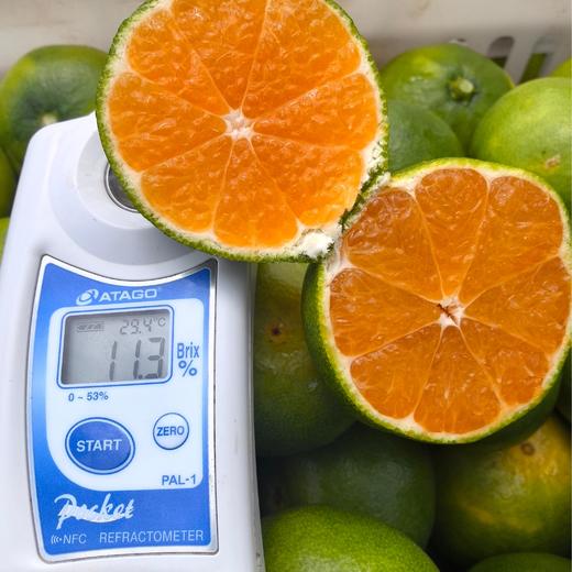 东江湖蜜桔 商品图2