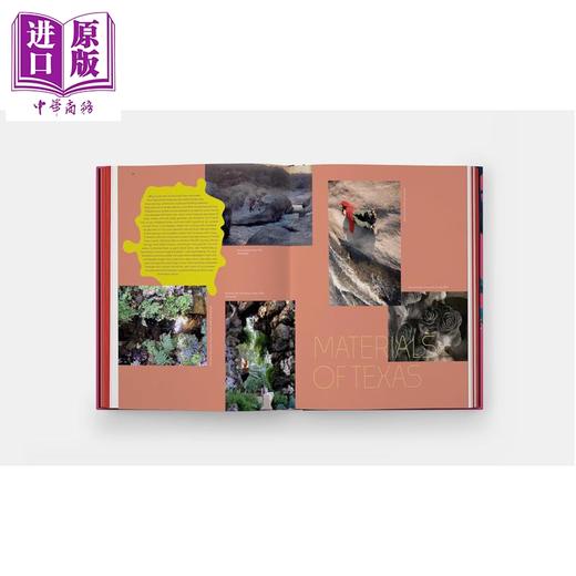 【中商原版】Haas Brothers: Uncanny Valley 进口艺术 美国雕塑艺术家哈斯兄弟：诡异谷 商品图3