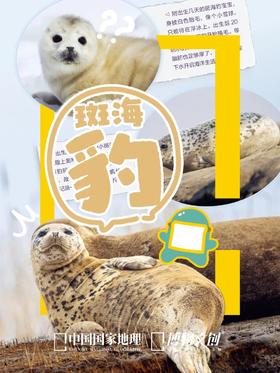 岸上的饺子，晒一晒就可以下“锅”了