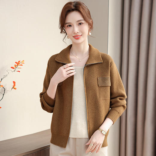 W501-2645-95-168妈妈春装洋气外套2025新款中老年女装时尚短款针织开衫婆婆上衣服 商品图1
