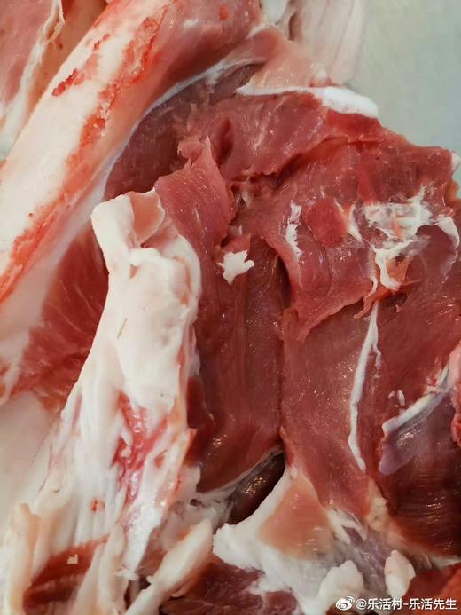 黑猪肉---（滦平） 商品图2