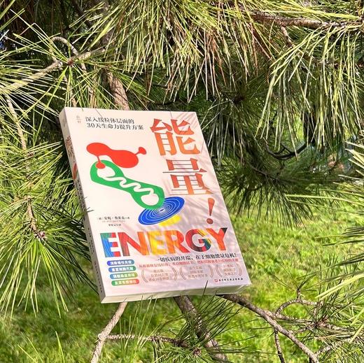 能量！一切疾病的开端，在于细胞能量危机！ 商品图3
