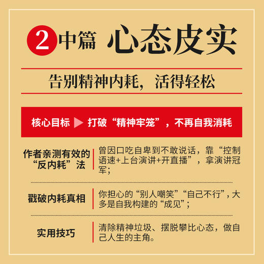 做个皮实的人：穿越人生的顺境逆境 何思平著任性成功励志书籍把自己变成稀缺资产作者新作 商品图2
