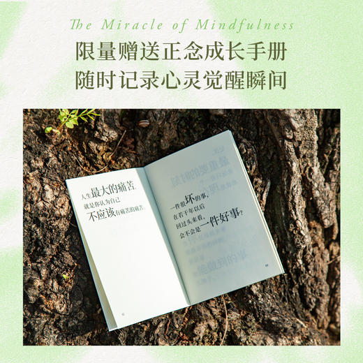 正念的奇迹（全球畅销超500万册的“心灵觉醒圣经” ） 商品图6