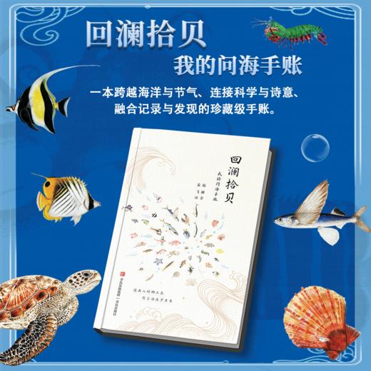 回澜拾贝——我的问海手账 海洋爱好者精美手绘 商品图0