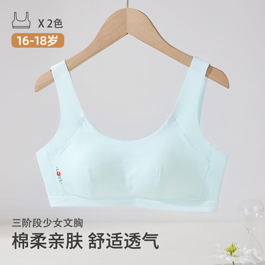 雅黛俪少女内衣青春发育期女孩高中生文胸 商品图0