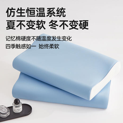 新一代小蓝棒记忆枕II 商品图4