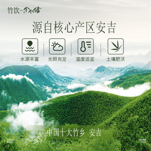 【安吉】个个健淡竹饮 竹叶黄酮淡竹叶植物饮料 安吉特产健康竹饮料 商品图2