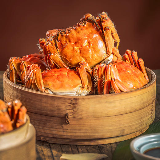 【2025 现货 大闸蟹】主打天然海鱼喂养，国家一级水质生态养殖，手工精选高标准 商品图0