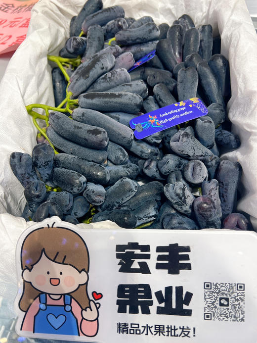 【宏丰精选】 高端送礼推荐  金手指黑提  超级新鲜果粉足 口感脆甜 硬度好 商品图0