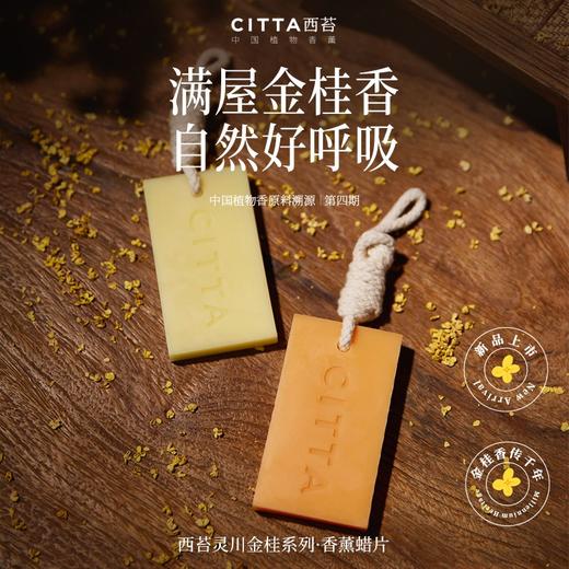 CITTA/西苔 清新淡雅持久留香家居衣橱香薰蜡片香薰高级感挂件装饰 商品图4