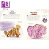 【中商原版】DK选集 3册 英文原版 An Anthology of Fungi / Rocks and Minerals / Shells 科普绘本 精美照片和插图 进口精装 商品缩略图1