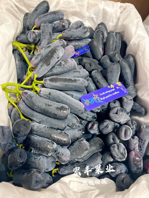 【宏丰精选】 高端送礼推荐  金手指黑提  超级新鲜果粉足 口感脆甜 硬度好 商品图5