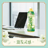 康师傅茉莉清茶 500ml 商品缩略图2