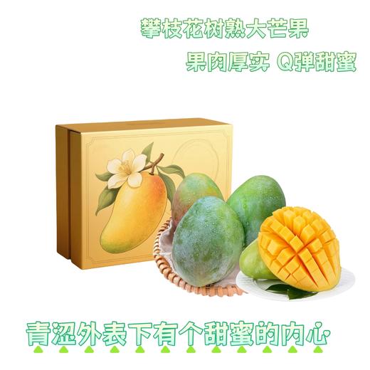 攀枝花树上熟芒果 商品图0