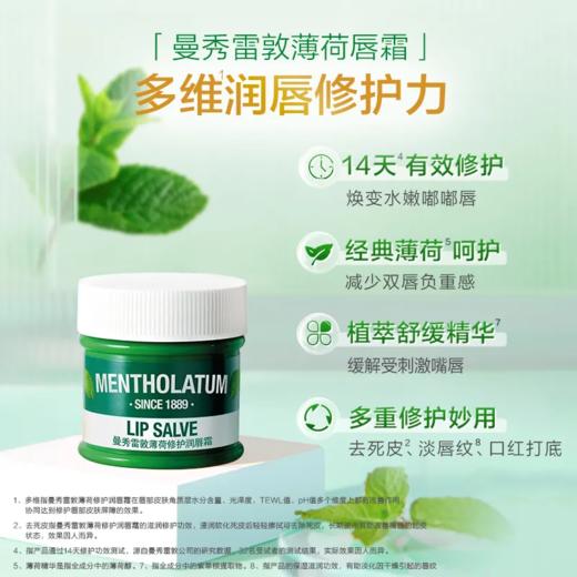 【超市】曼秀雷敦薄荷修护润唇膏9g 商品图0