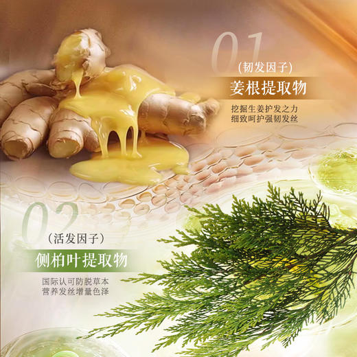 片仔癀牌净爽沐浴露/强韧洗发水，强韧固发，清爽滋润 商品图2