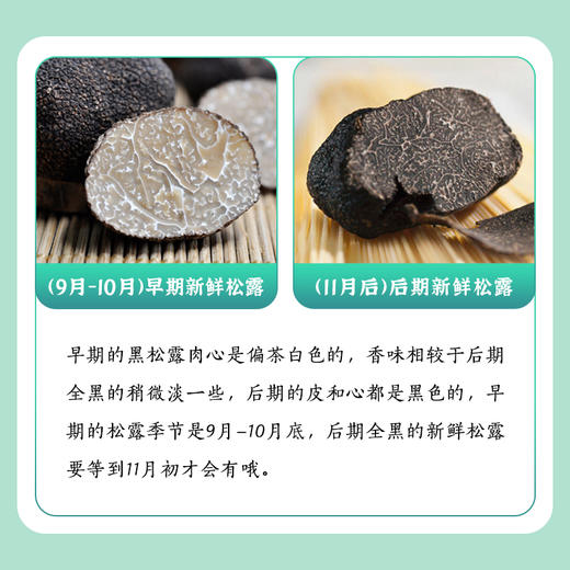 【新鲜松露11-2月】云南新鲜黑松露500g礼盒装 商品图5