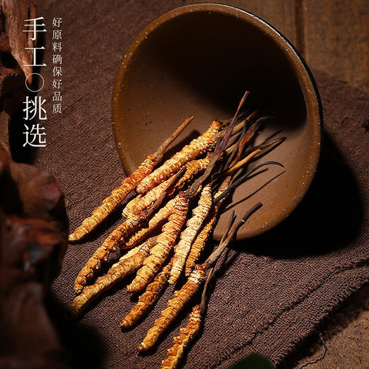 杞里香20g、25g礼盒冬虫夏草，当年新草，高端礼盒 商品图2