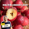 生态苹果（新疆） | 合作生产 * Ecological Apple | Partner Production 商品缩略图0