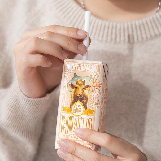 菜菜X归一A2娟姗纯牛奶|升级A2酪蛋白，丝滑浓郁，更好吸收！ 商品图6