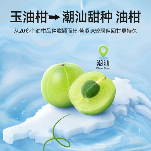 默小吉210ml玉油柑原浆 潮汕一宝 汕尾的甜油柑， 三秒微涩、五秒回甘 商品图3