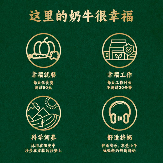 中垦牧3.8高原沙漠绿洲牛奶 商品图3