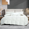 鑫缘  精品白鹅绒被 EYBD 商品缩略图1