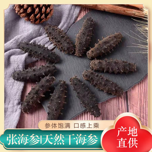 原生淡干海参 底播辽刺参 干货 家庭自用简装 商品图1