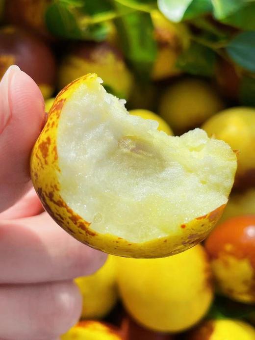 脆甜冬枣·精品果 商品图2