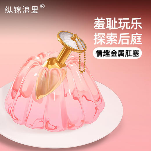 纵锦浪里肛塞男外出长期佩戴后庭调教插屁股情趣女用品sm肛门开发 商品图0