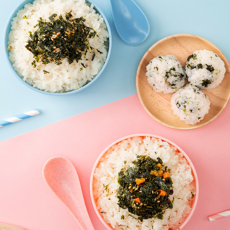大森屋肉松蔬菜海苔拌饭料高钙高蛋白儿童辅食饭团