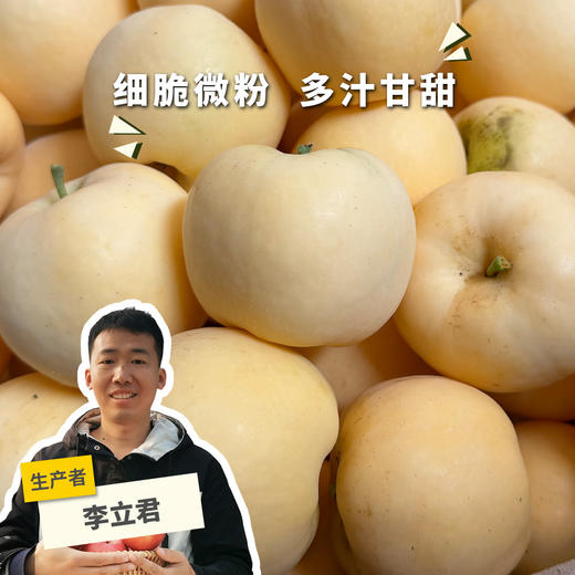 生态秦玉苹果（售完即止） | 合作生产*Ecological Qinyu  Apple | Partner Production 商品图0