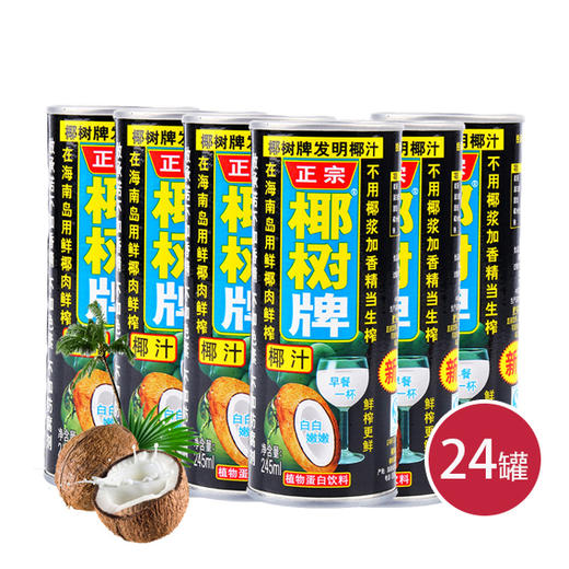 椰树牌听装椰树汁245ml*24（6957735788861） 商品图0